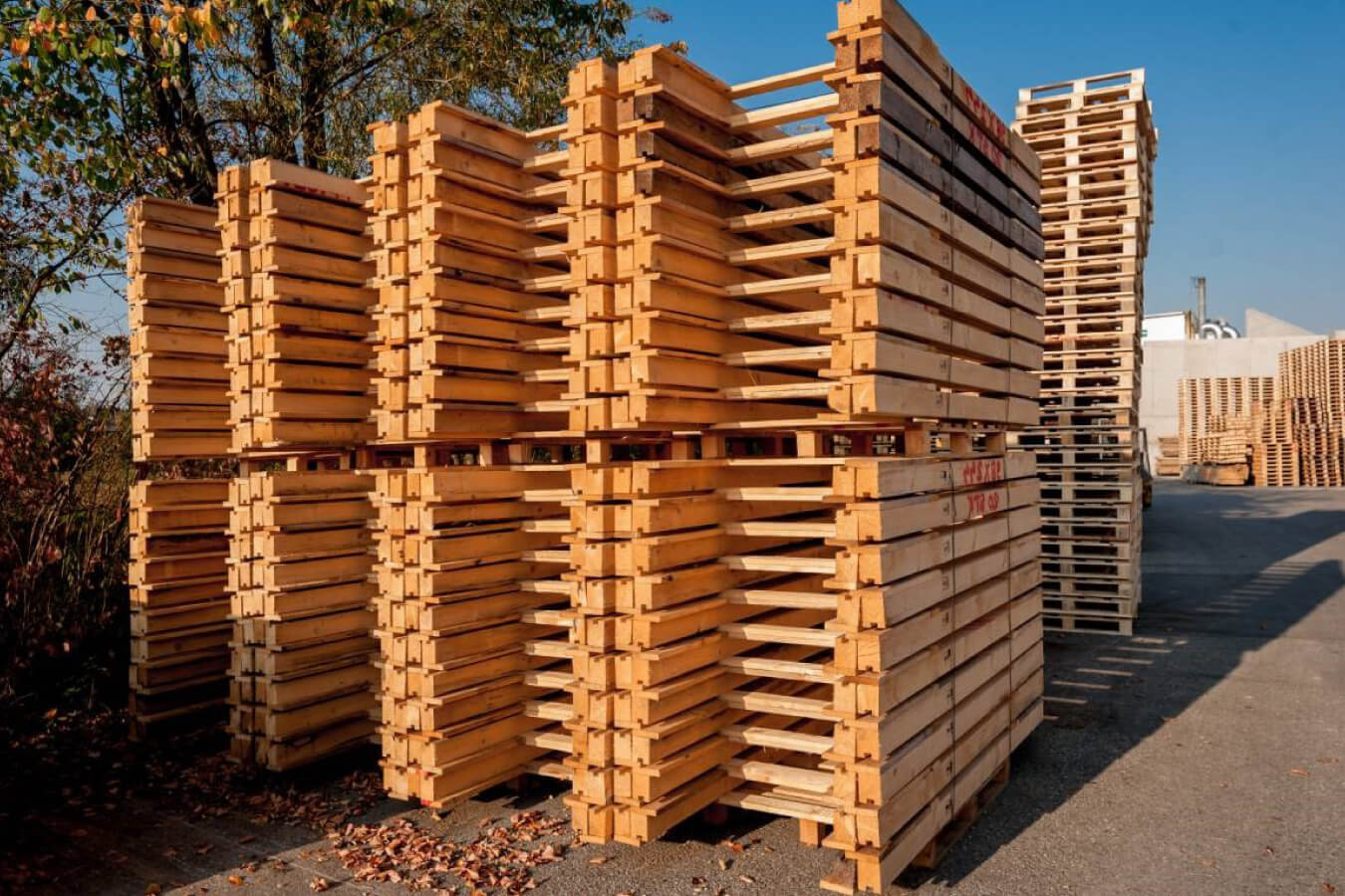 soluciones embalaje industrial madera